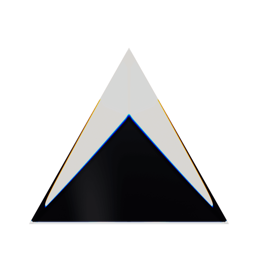 RandoriSec Triangle 11