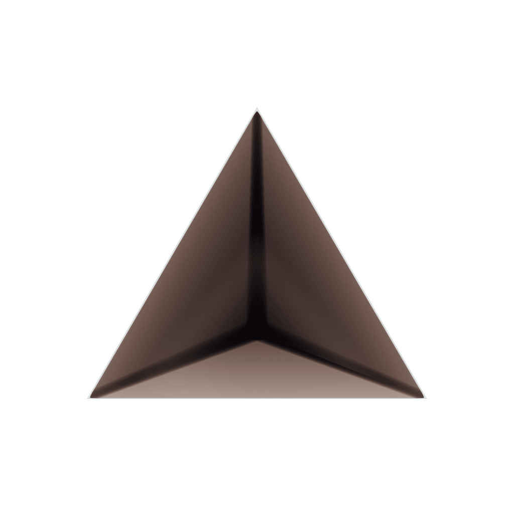 RandoriSec Triangle 2