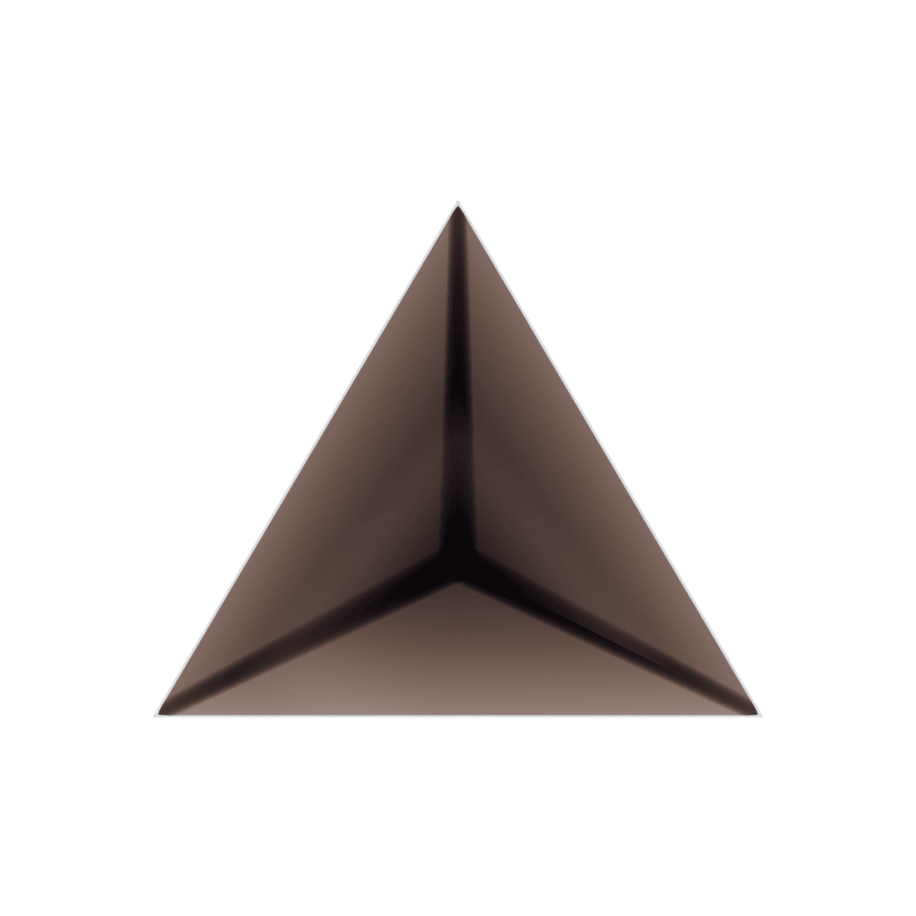 RandoriSec Triangle 3