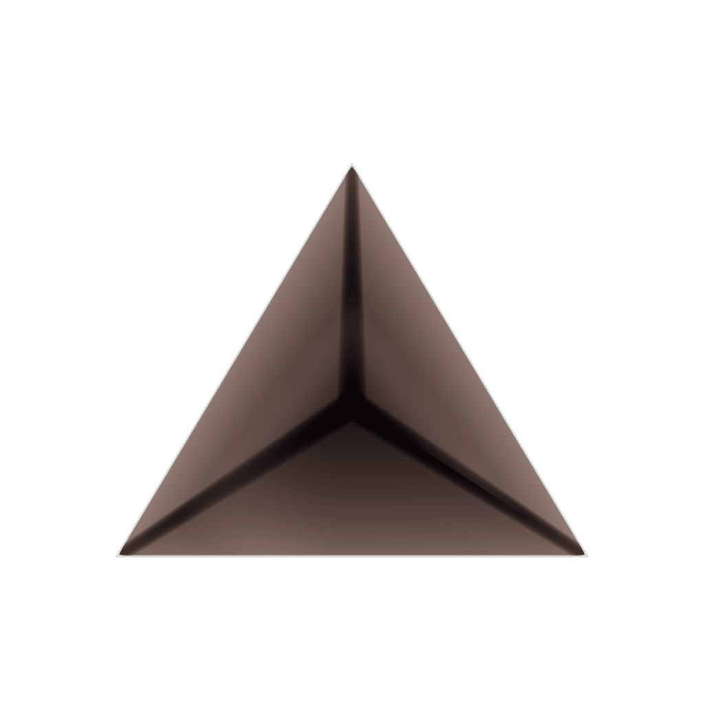 RandoriSec Triangle 4