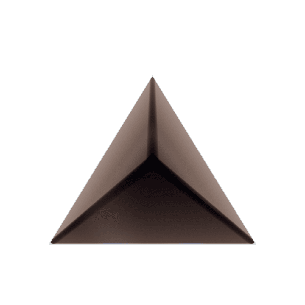 RandoriSec Triangle 5