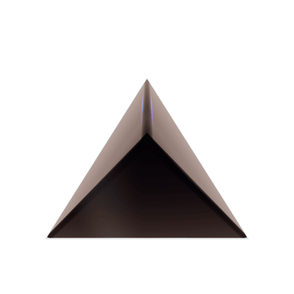 RandoriSec Triangle 6