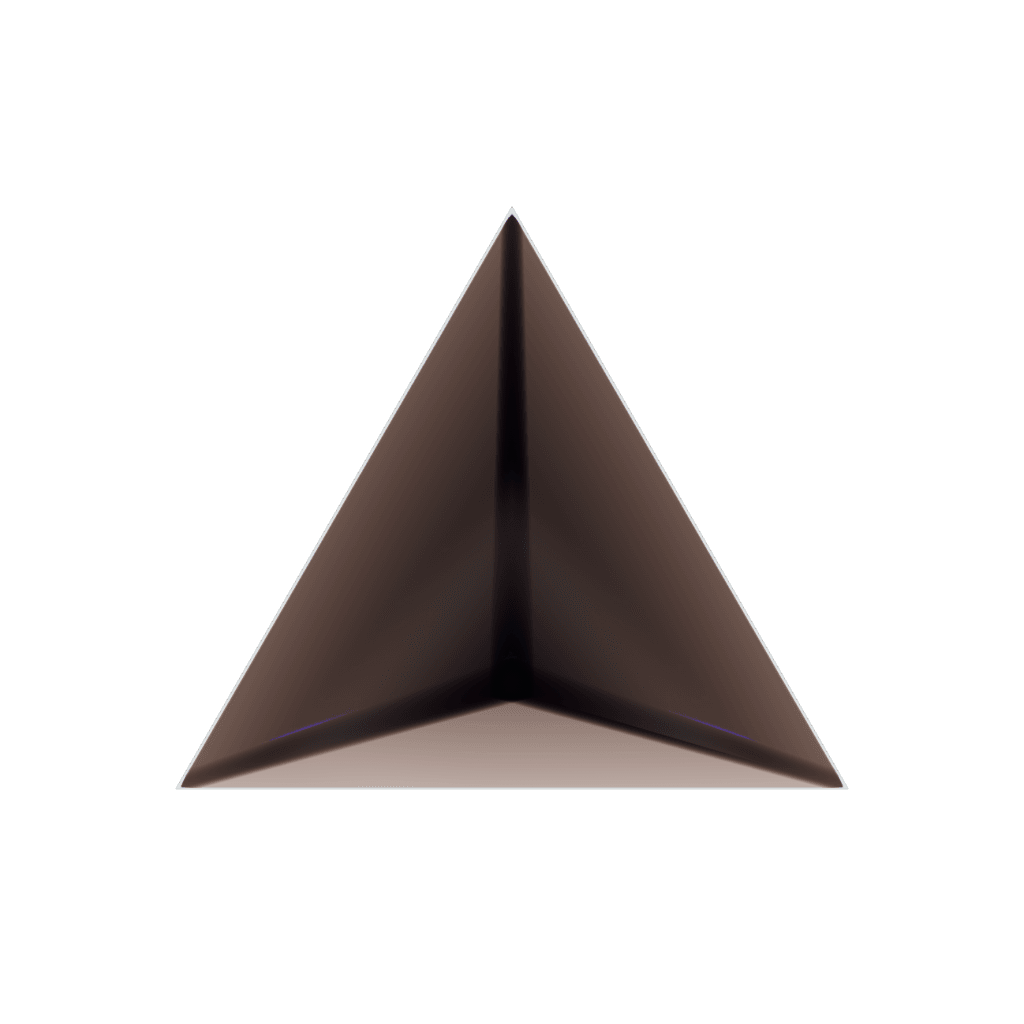 RandoriSec main triangle